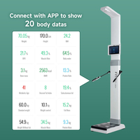 Báscula Digital Ultrasónica para Peso, Altura y IMC de la Marca Beryl, Producto Nuevo, con Alimentación CC de 60w