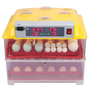 Bac à épilation automatique en plastique, couveuse avec 100 œufs, sortie d'usine, nouveau