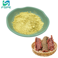 Fournir de la poudre de myricétine Myricetin 98% extrait d'écorce de Bayberry 529 Myricetin