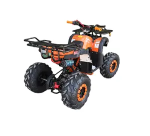 EPA ile ters 125cc ATV quad yardımcı araçlar ile fabrika doğrudan toptan fiyat otomatik debriyaj