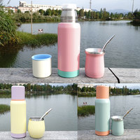 Yerba Mate et Thermos Set + 8oz Acier Inoxydable Moderne Mate Gourde Thermos Gourde Mate Gourde avec Couvercle