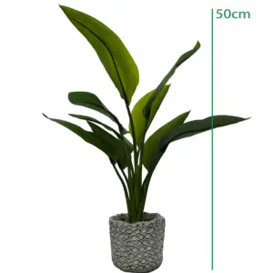 50cm madgascariensis 9 foglie di palma da viaggiatore Strelitziaceae plastico piante inodore arredamento giardino Bonsai artificiale Ravenala