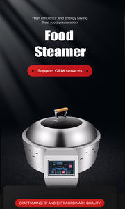 فرن طهي بالبخار الجاف على الطريقة الكانتونية التجارية من شوندي لطهي أضلاع الضأن للمطاعم والفنادق - Product Image 6