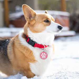 Etiquetas Personalizadas de Llavero para Mascotas con Epoxi, RFID NTAG215 13.56MHz, Etiqueta de Identificación Inteligente Impermeable para Gatos - Product Image 3