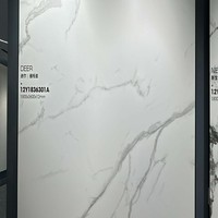 Nouvelle dalle de pierre frittée mate Bulga White 1800x3600x12mm, grand panneau sophistiqué pour revêtement mural de façade de villa
