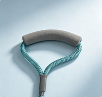 Laisse pour animaux de compagnie durable pour chiens de petite, moyenne et grande taille, haute qualité, en stock, nouvelle laisse pour chien, laisse de promenade épaissie pour chien