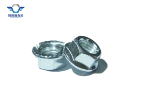 Bán nóng mạ kẽm thép carbon Hex mặt bích Nut chèn cánh hàn đen răng cưa Nylon mặt bích khóa hạt cho khai thác mỏ - Product Image 4