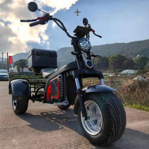 Scooter Eléctrico <span class=keywords><strong>de</strong></span> Golf <span class=keywords><strong>de</strong></span> 3 Ruedas y 2000W, Citycoco Motorizado con Soporte para Bolsa <span class=keywords><strong>de</strong></span> Golf Gratis - Product Image 5