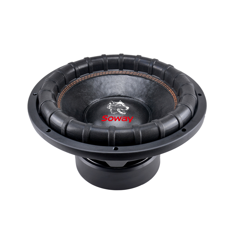 Professional Audio 10 Inch Woofer Mid