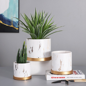 <span class=keywords><strong>Pot</strong></span> de fleur marbré plante verte peau de tigre <span class=keywords><strong>orchid</strong></span>ée <span class=keywords><strong>pot</strong></span> en céramique respirant avec plateau - Product Image 3