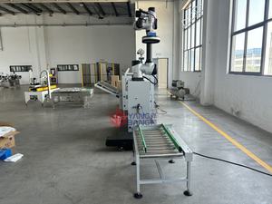 Robot de palettisation entièrement automatique pour sacs, bouteilles et palettes, personnalisation, robot de palettisation pour cartons et barils de 15 kg - Product Image 3