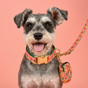 MIDEPET Saint-Valentin Grand chien laisse collier sac poubelle ensemble motif personnalisé Logo réfléchissant Nylon adapté aux chats chiens - Product Image 1