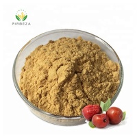 Poudre d'extrait de datte rouge de haute qualité 30:1, poudre de jus de fruit de jujube chinois pur