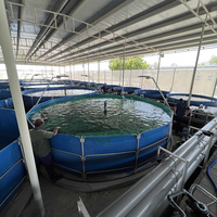 Support pour étang à poissons Stockage flexible de l'eau Fonctionnement efficace de la pisciculture et un aquarium de piscine amusant pour les loisirs