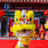 JN-Z2310 Foshan Costume de dessin animé pour spectacle, accessoire de danse du dragon et du lion