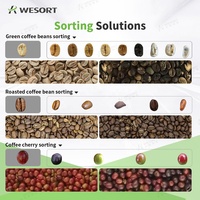 Machine de trieuse de couleur de prix usine de Wesort pour trier la fève sèche de cacao de fruit de soja de riz dans des usines de transformation de ferme