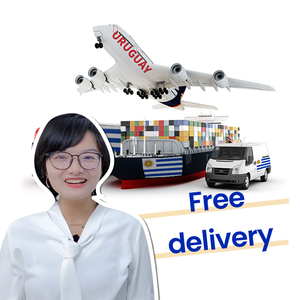 Air Sea Shipping a <span class=keywords><strong>Uruguay</strong></span> Puerta a puerta DDP <span class=keywords><strong>LCL</strong></span> Productos de envío exprés <span class=keywords><strong>China</strong></span> <span class=keywords><strong>freight</strong></span> forwarder para <span class=keywords><strong>Uruguay</strong></span> - Product Image 3
