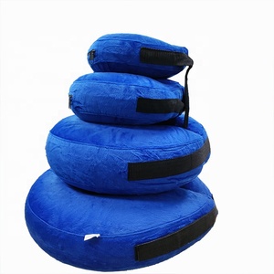 Bán Theo Yêu Cầu Như Vòng Cổ Bơi Phao Cổ Bơi Vòng Cổ Bơm Hơi Cho Chó - Product Image 1