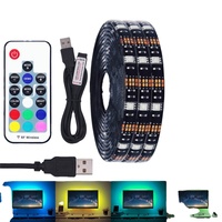 SMD 5050 RGB DC5V USB Tira de LED 30 LEDs/M 5M Tira de luz LED Cinta flexible Fondo de TV Control remoto