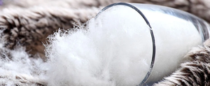 lavado blanco pato ganso pluma a granel de llenado para almohada <span class=keywords><strong>funda</strong></span> nórdica de alta poder de relleno - Product Image 5