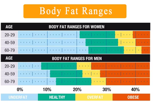 Máquina de Análisis de Salud para la Evaluación del Riesgo de Enfermedades, Índice de Vitalidad Corporal y Prueba de Sub-Salud, Equipo de Bienestar para Farmacias - Product Image 5