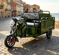 Tricycle électrique EEC pour passagers et marchandises, capacité de chargement, vitesse maximale 40 km/h, trike électrique pour courtes distances