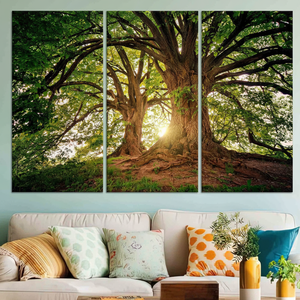 Lienzo Impreso: Impresión Fotográfica de Árbol Verde en el Bosque al Amanecer, JUEGO DE 3 LIENZOS - Product Image 3