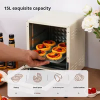 Four électrique domestique multifonction 15L pour la cuisson des gâteaux en acier inoxydable 800W-899W Contrôle uniforme de la température Mini petit spécial