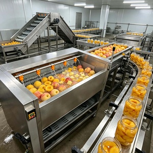 Machine à peler le manioc <span class=keywords><strong>de</strong></span> haute qualité, machine à laver et à peler les pommes <span class=keywords><strong>de</strong></span> terre, les carottes, le taro et les fruits <span class=keywords><strong>de</strong></span> mer, vente directe d'usine - Product Image 5