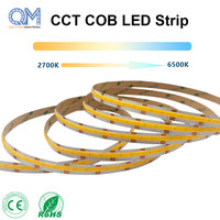 Tira de Luces LED COB Raymates sin Puntos, Ajustable, Regulable, CCT, 24 V, 608 LED, Ancho de PCB de 10 mm, Tira de LED COB Brillante