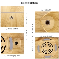 Humidificateur portable à brume fraîche et diffuseur d'arôme 160ml Mini USB Vase Design en plastique avec lumière LED pour un usage domestique