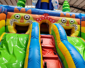 <span class=keywords><strong>Precio</strong></span> al por mayor: Castillo hinchable con tobogán de doble carril, tobogán acuático inflable, combo de juegos inflables para parques de atracciones y circo - Product Image 4