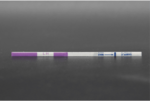 Test d'urine à domicile pour femmes Kits de test rapide d'<span class=keywords><strong>ovulation</strong></span> Bandelettes de test d'<span class=keywords><strong>ovulation</strong></span> LH - Product Image 2