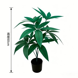 Follaje Vibrante Ovalado Fortune con Hojas Gruesas y Brillantes para Decoración de Entradas, Tiendas y Salas de Estar - Product Image 2