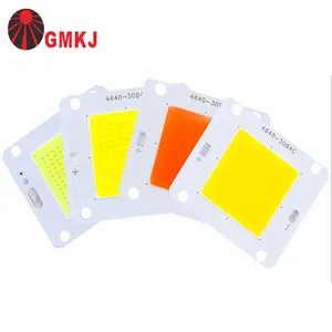 Flip Chip Led Chip 30W 50W 100W 150W 200W 300W Cob Geen Goud Draad