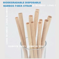 Nouvelle conception 2025 – Pailles en fibre de bambou naturel, écologiques, enroulées en spirale, pour boissons, diamètre 10 mm, forme longue et droite, pour bar