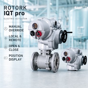 Proveedor de Actuadores Inteligentes IQ3 para Plantas de Tratamiento de Agua y Tuberías de Gas y Petróleo - Product Image 3