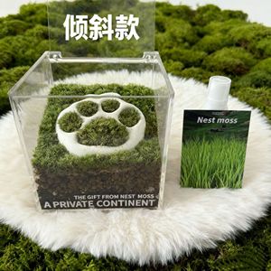 Ecological micro-landscape moss landscape green plants indoor desktop potted plants ornaments acrylic <b>box</b> DIY material kit - Product Image 2