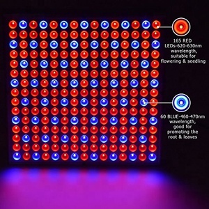 <span class=keywords><strong>2022</strong></span>เซินเจิ้นโรงงานขายตรงสแควร์ LED เติบโตแสงสำหรับสีแดงสีฟ้าพืชในร่มไฟและพืชไฮโดรโปนิเติบโตแสง - Product Image 2