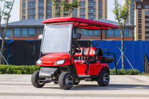 Voiturette de golf électrique WELIFTRICH 3-4 places, batterie lithium 60V, chariot de tourisme et de chasse, roues blanches et noires, toit entièrement étanche - Product Image 5