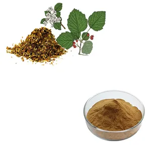 HONGDA 1% 10% Vitexin Hawthorn Leaves Extract