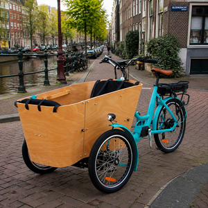 <span class=keywords><strong>Bici</strong></span> <span class=keywords><strong>Cargo</strong></span> elettriche dirette in fabbrica per la vendita Green Life Front Load elettrico <span class=keywords><strong>Cargo</strong></span> Bike elettrico 3 ruote <span class=keywords><strong>bici</strong></span> adulti - Product Image 6