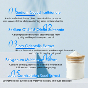Poudre de <span class=keywords><strong>shampoing</strong></span> concentrée lyophilisée aux extraits naturels de plantes Platycladus Orientalis + Polygonum pour cheveux bouclés adultes, nettoyage en profondeur - Product Image 4