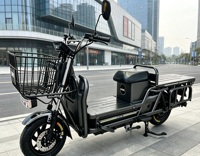 Moto électrique tout-terrain robuste YT 35 avec cadre en acier haute teneur en carbone, batterie au plomb ou au lithium en option pour la télécommande