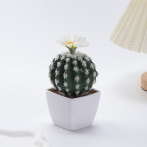 Plante verte petit Pot Cactus en pot intérieur figue de barbarie succulente fleur plante bureau décoration de bureau - Product Image 6
