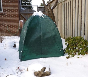 Outdoor <b>Plastic</b> Cloche up Plant Winter Shrub Freeze Plant Cover for Plants - Product Image 2