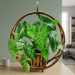 Maceta Colgante de Mimbre Tejida a Mano, Estilo Europeo Vintage, Ligera, Porta Plantas Tejido Natural, Decorativo, para Flores - Product Image 5