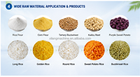 Ligne de production industrielle automatique de riz artificiel nutritif et doré, extrudeuse de riz reconstitué enrichi en vitamines