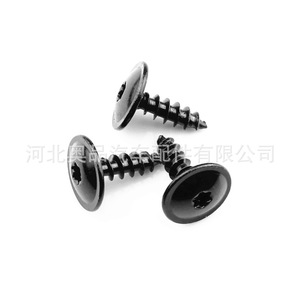 Tornillos T25 para Guardabarros de Volkswagen Audi N90974701N91160401, Repuestos de Reparación - Product Image 5
