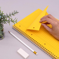 Carnet de notes A5 à spirale, pages lignées épaisses et colorées, carnet de notes pour prendre des notes, carnet de notes personnalisé, logo personnalisé, OEM/ODM, vente en gros